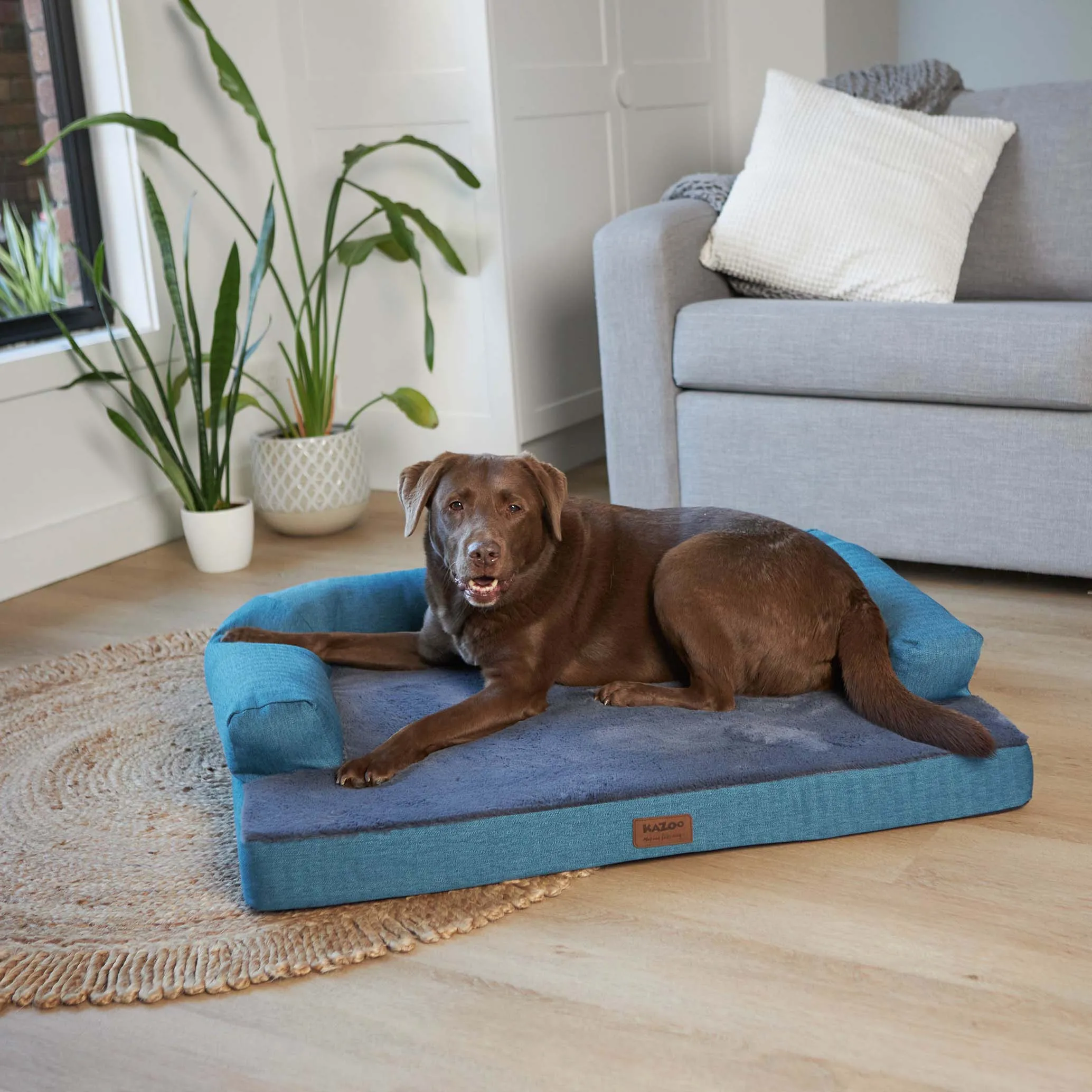 Kazoo Boudoir Medium Teal Dog Bed