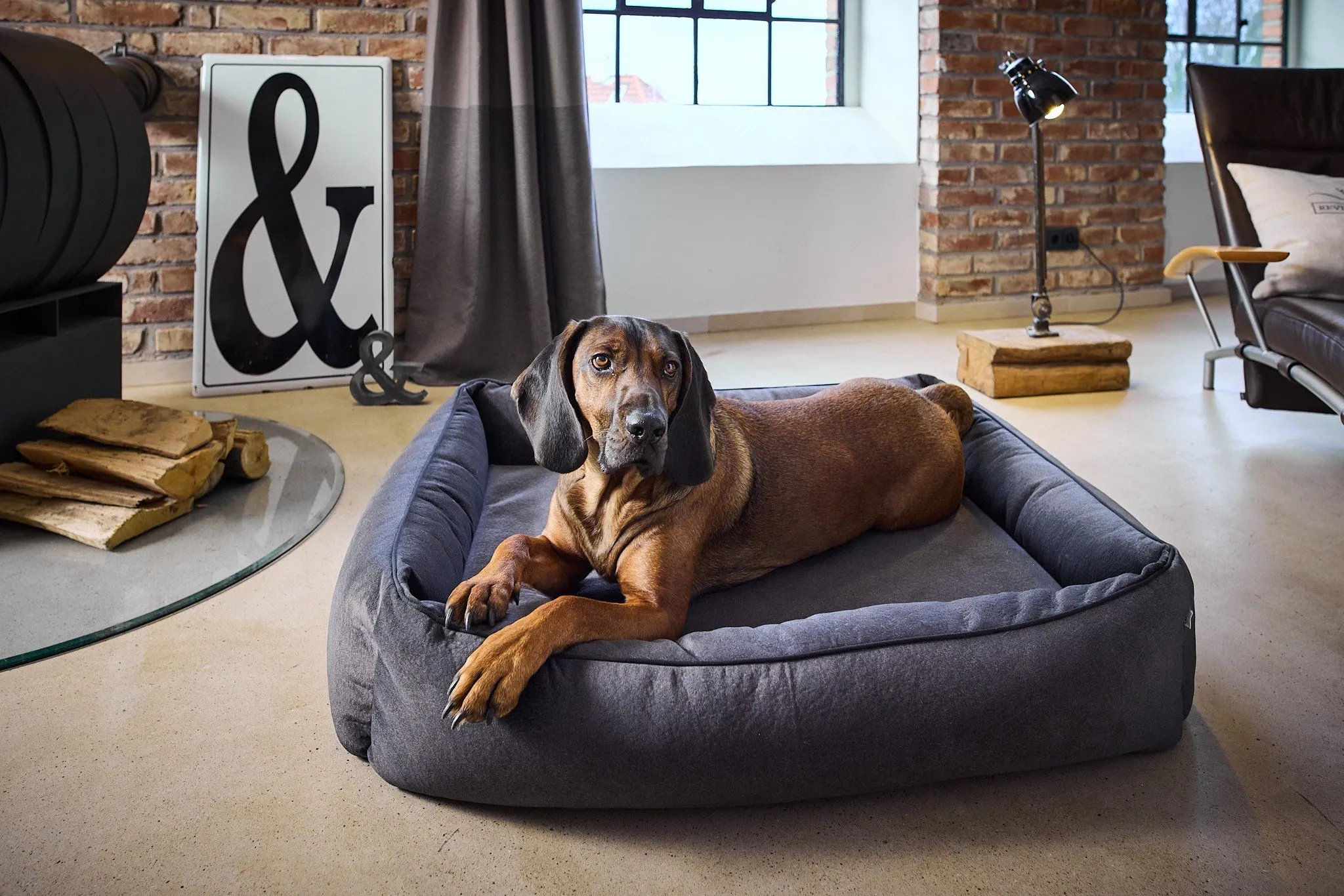 Laboni Orthopaedic Dog Bed Teddy