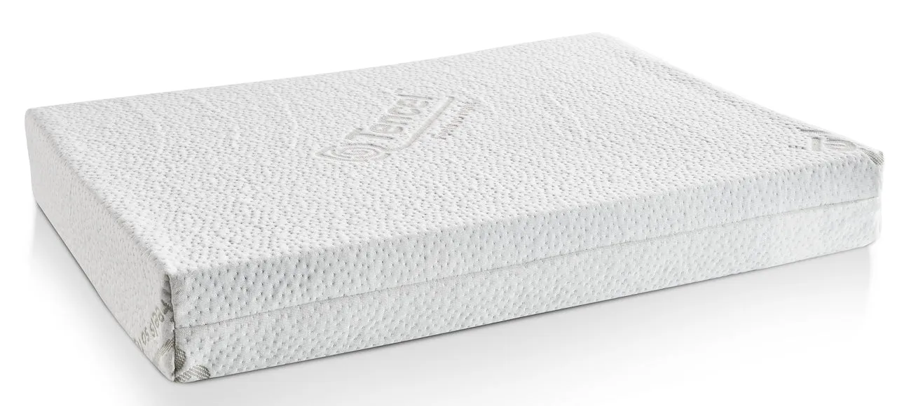 Laboni Orthopaedic Dog Bed Teddy
