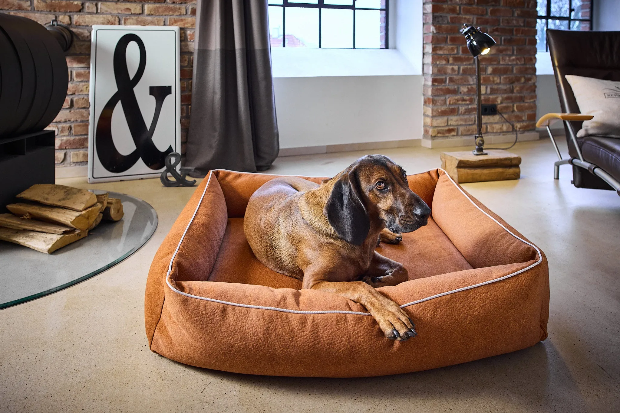 Laboni Orthopaedic Dog Bed Teddy