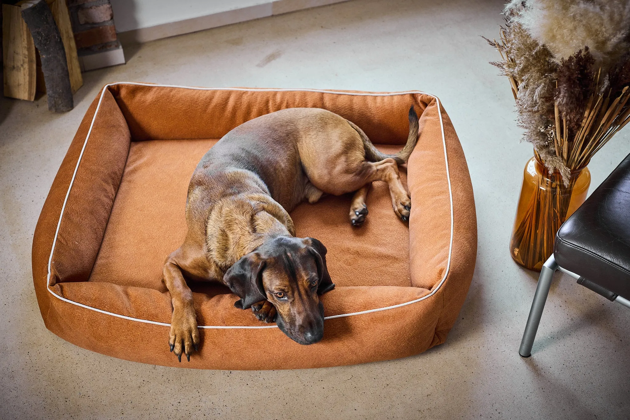 Laboni Orthopaedic Dog Bed Teddy