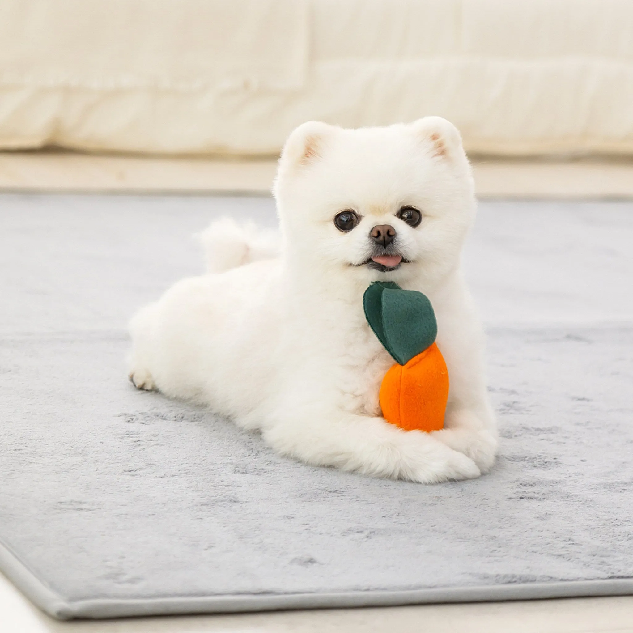 Leto Dog Nosework Toy Flower Carrot Field Blanket Mat - Nosework/IQ Toy - 🏆 #5 - Pet Supplies - Best of December
