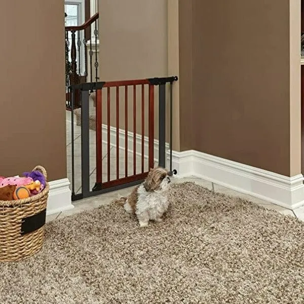 MidWest Steel Pet Gate with Graphite Frame and Wood Door