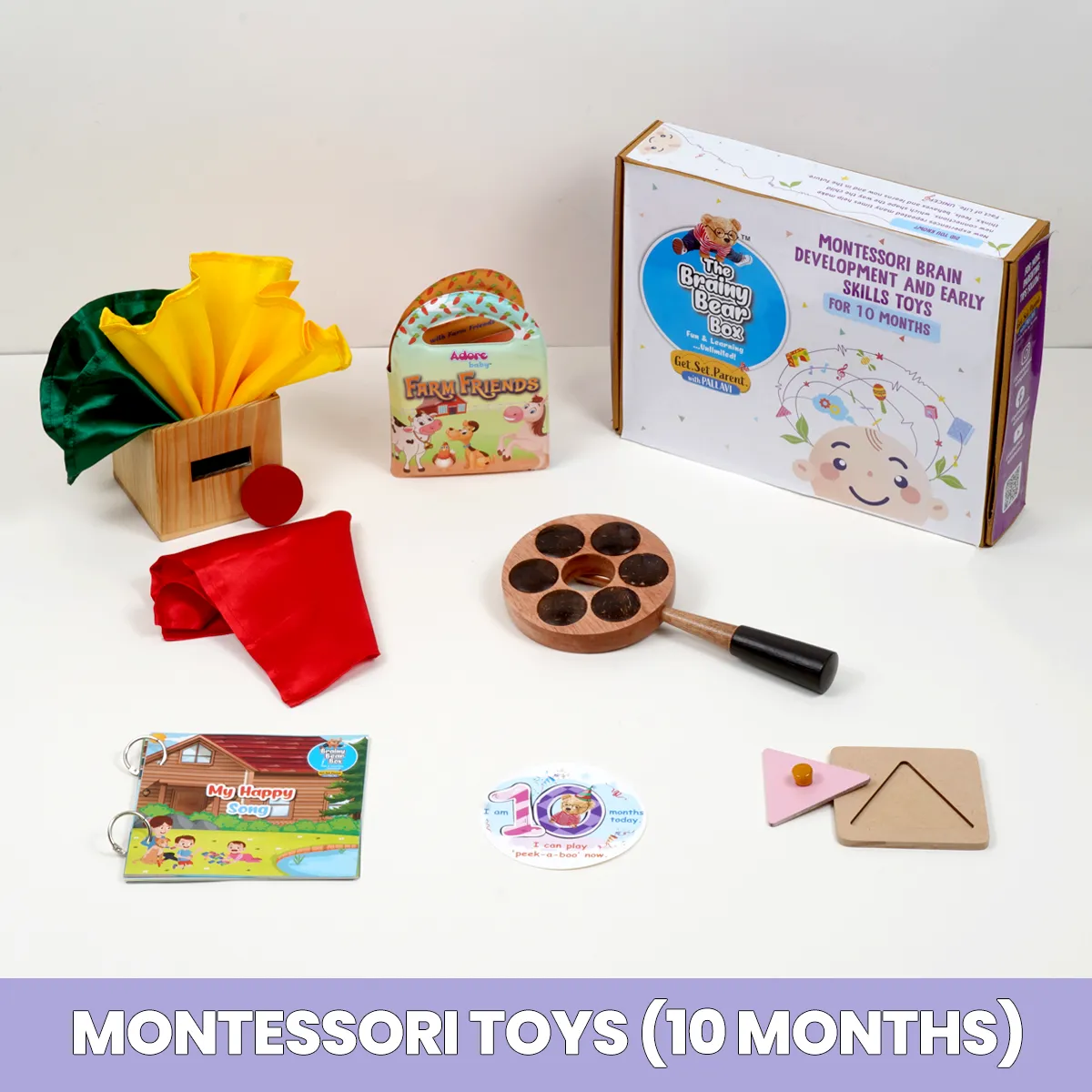 Monthly Montessori and Brain Development Toys  (0-2 Years)