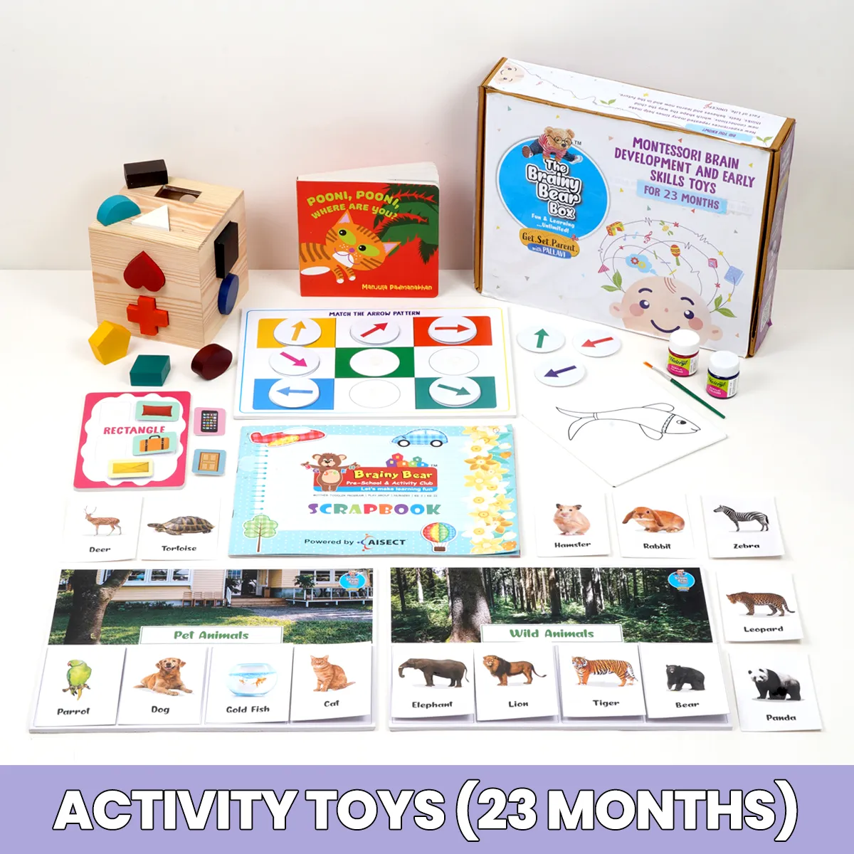 Monthly Montessori and Brain Development Toys  (0-2 Years)