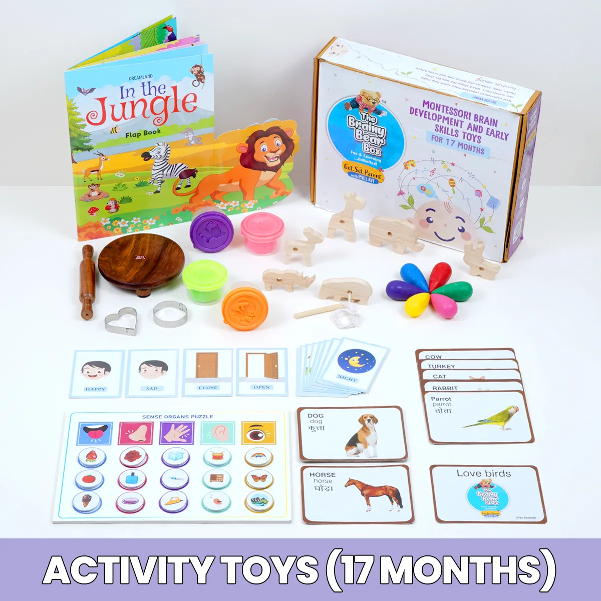 Monthly Montessori and Brain Development Toys  (0-2 Years)