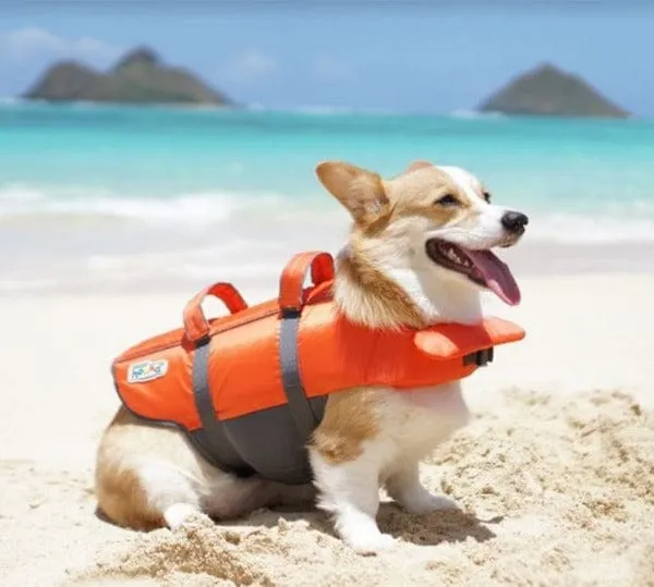 Outward Hound Granby Splash LifeJacket