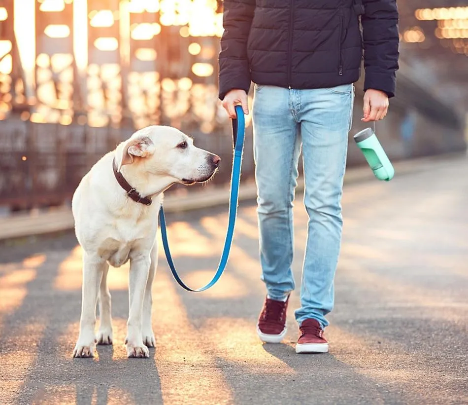 Portable Dog Water Bottle - 300ml