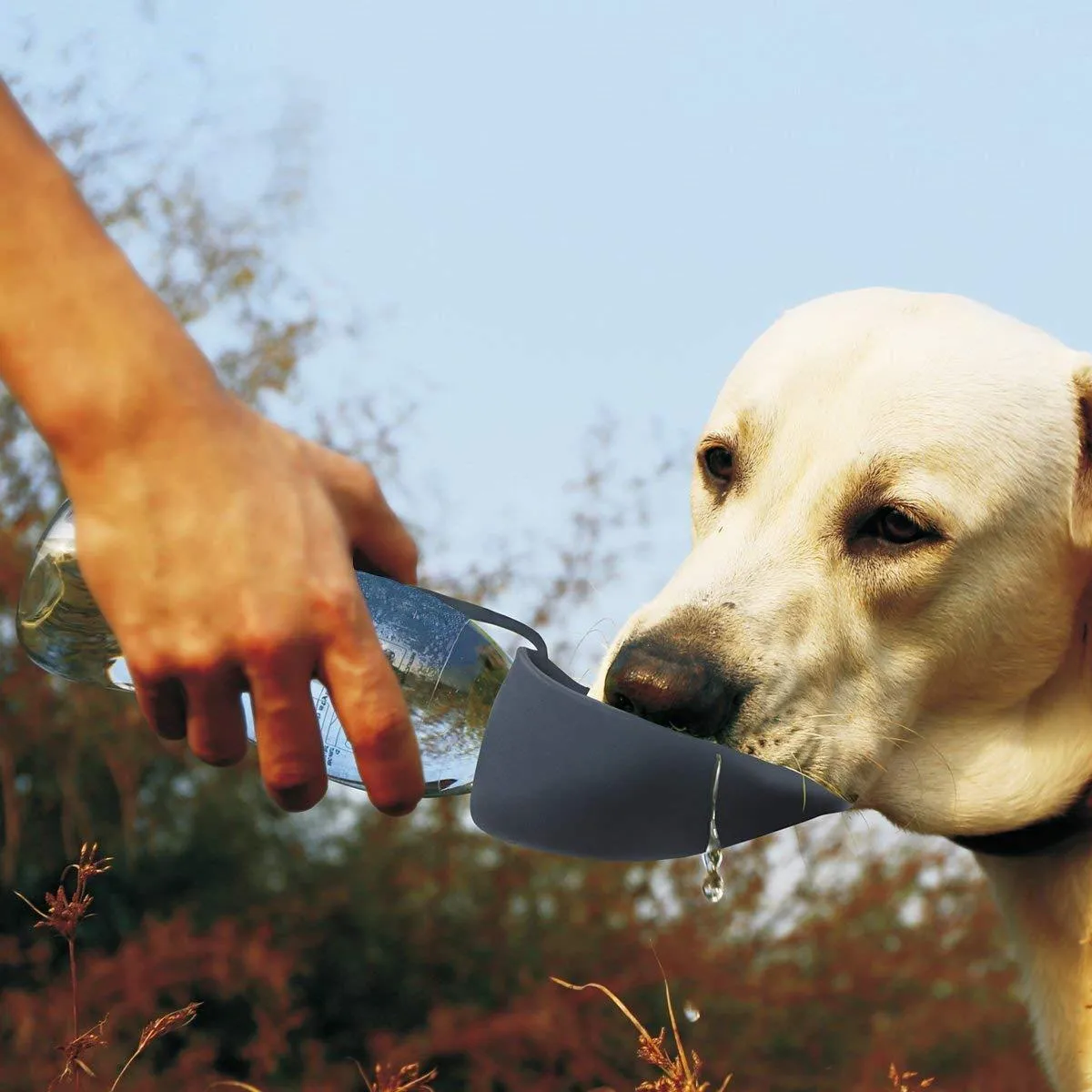 Portable Pet Water Bottle – Hydration On The Go for Your Pet