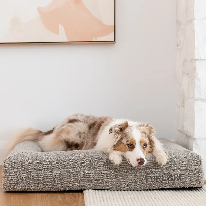 Premium Orthopaedic Memory Foam Bed   Spare Cover Bundle