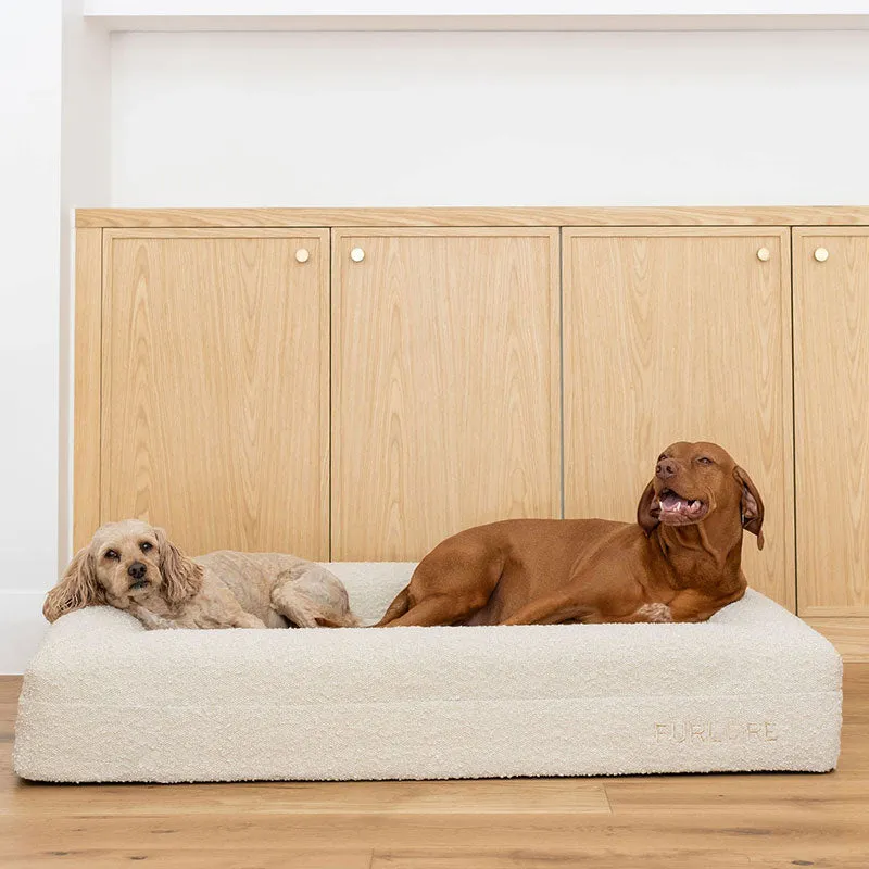 Premium Orthopaedic Memory Foam Bed   Spare Cover Bundle