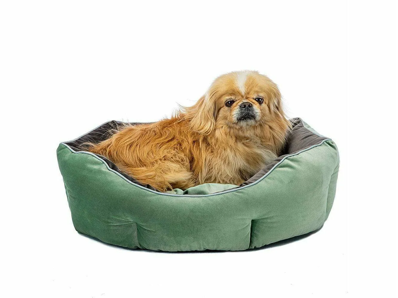 Queen 50 Green Grey Kennel