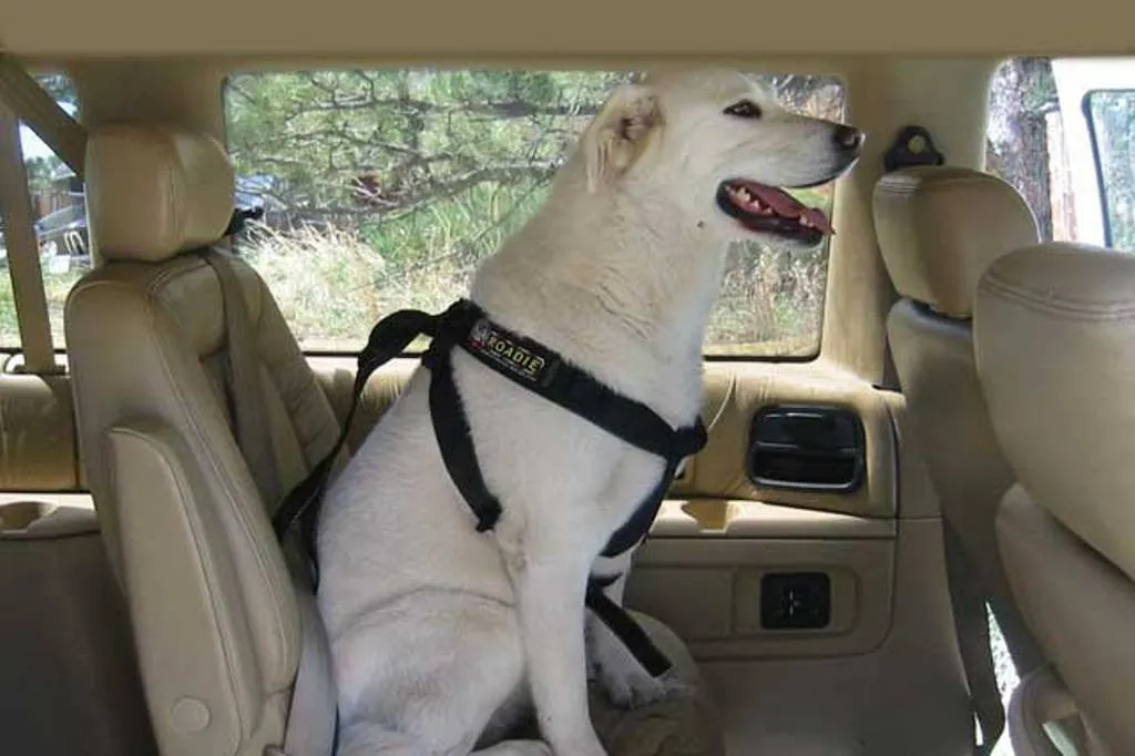 Roadie Canine Vehicle Safety Harness