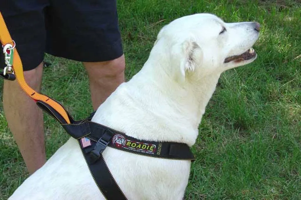 Roadie Canine Vehicle Safety Harness