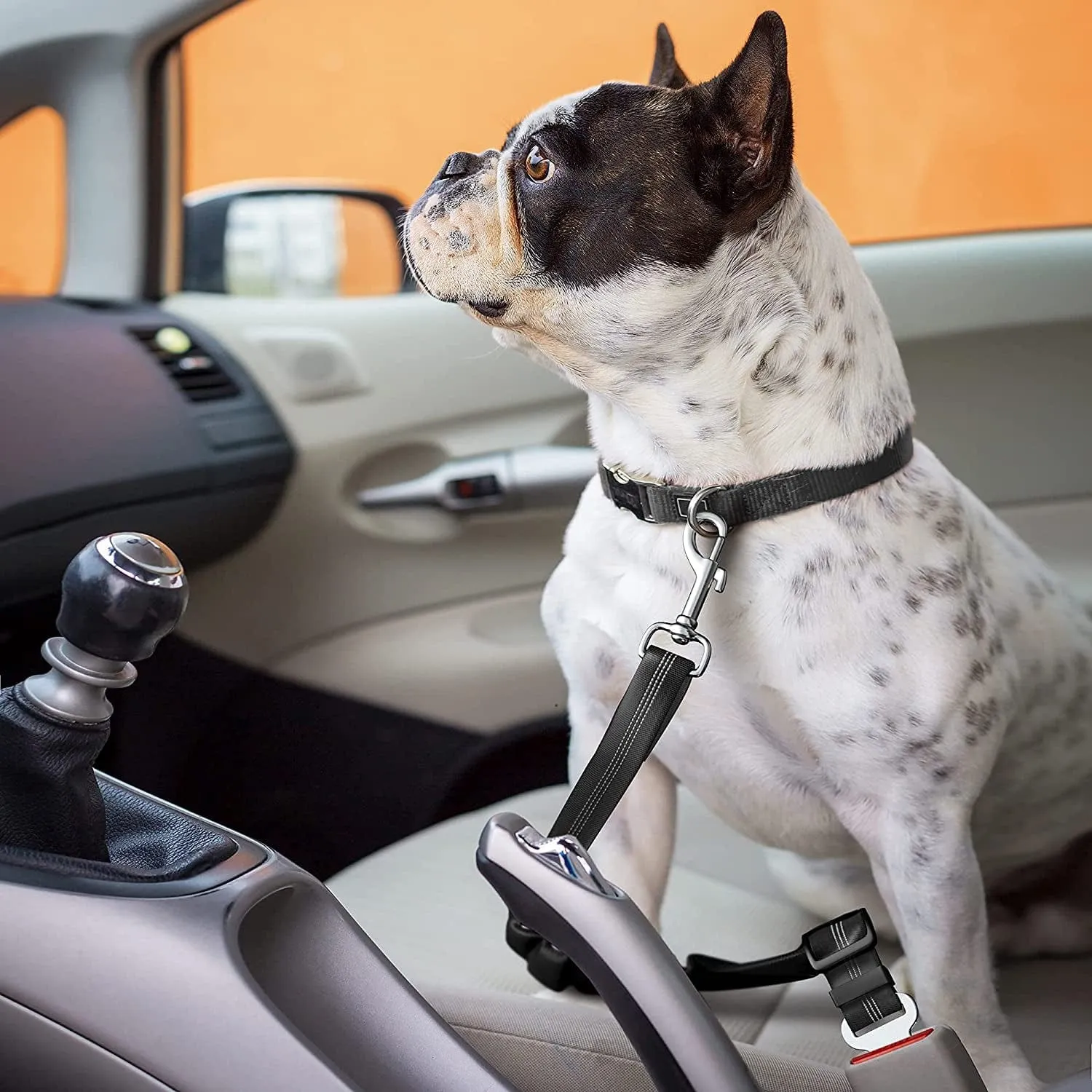 Seat Belt for Dogs with Elastic Bungee Buffer | Car Travel Accessories for Dogs