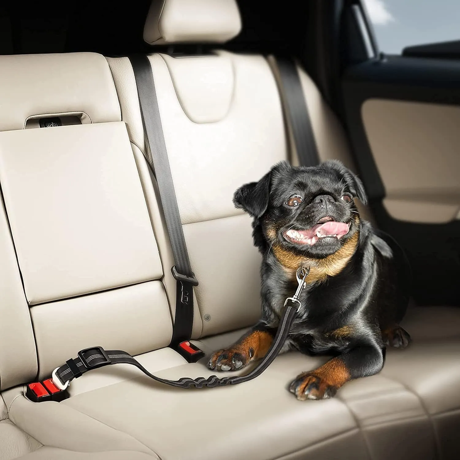 Seat Belt for Dogs with Elastic Bungee Buffer | Car Travel Accessories for Dogs