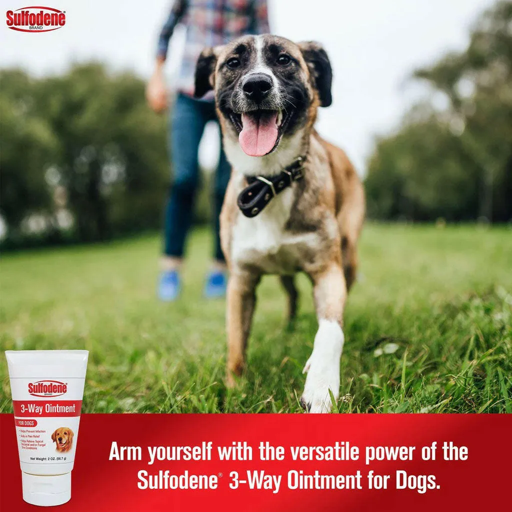 Sulfodene 3-Way Ointment for Dogs, 2-oz
