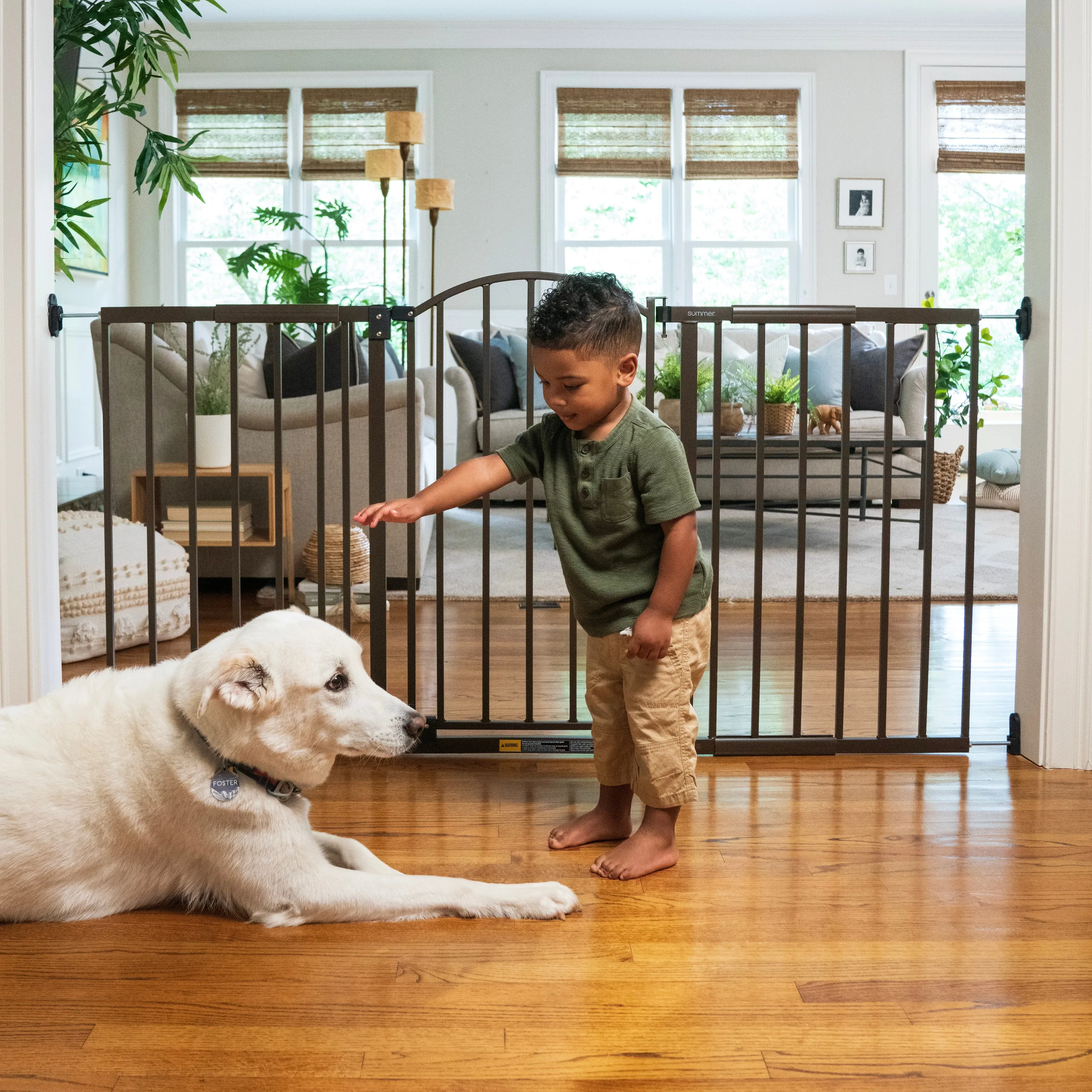 The Thruway 72XW Series Pet and Baby Metal Gate, Openings 44-72 wide, 36" tall - Bronze