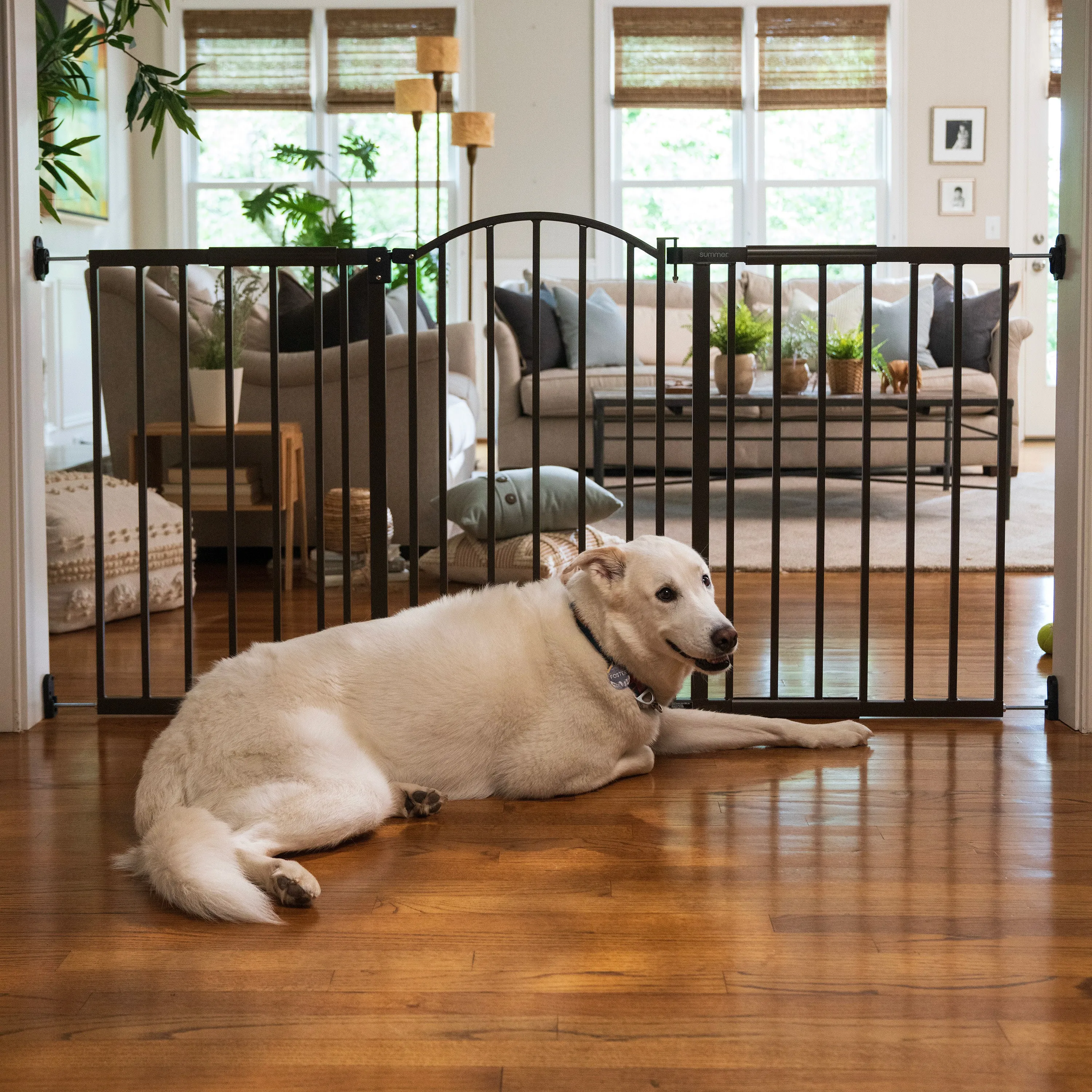 The Thruway 72XW Series Pet and Baby Metal Gate, Openings 44-72 wide, 36" tall - Bronze