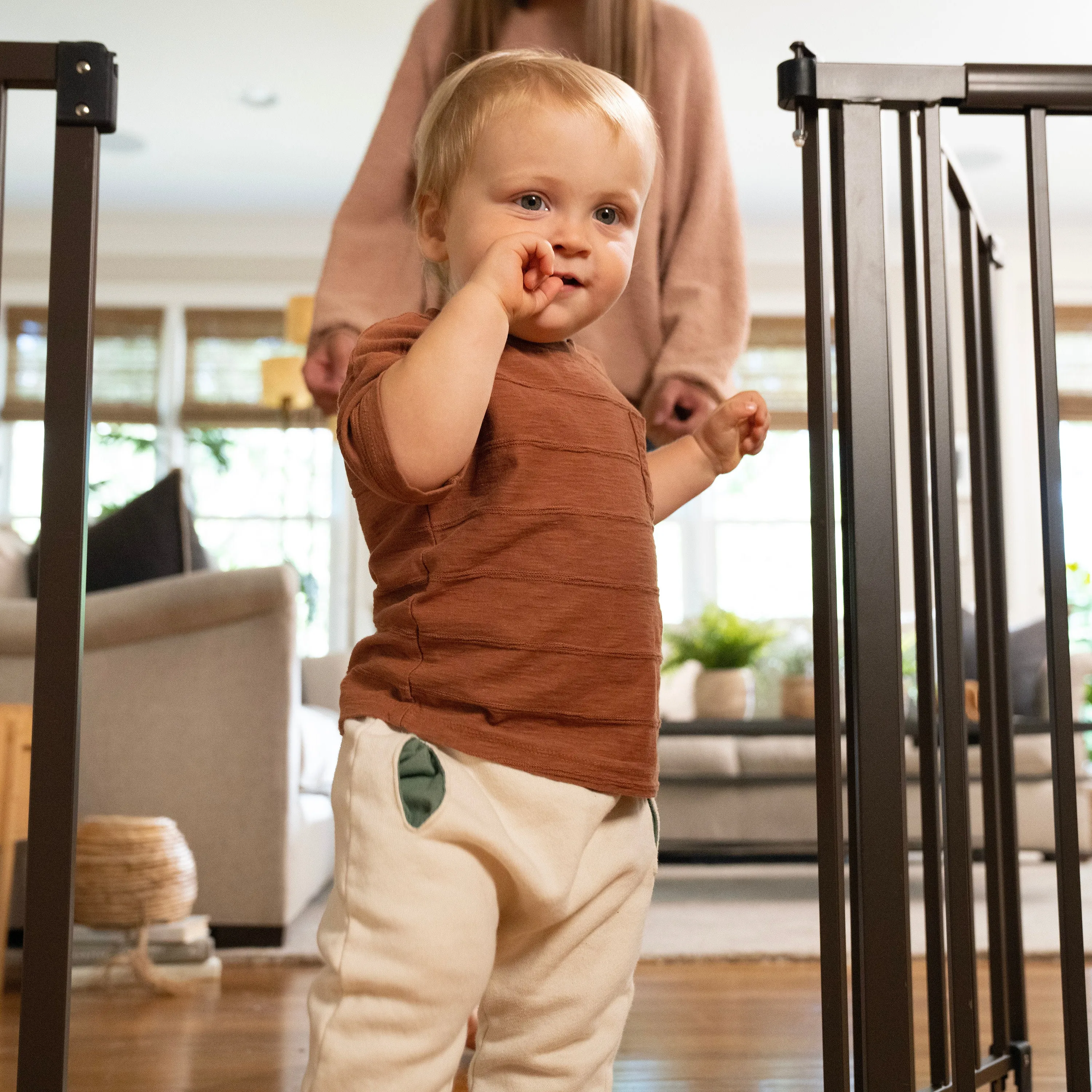 The Thruway 72XW Series Pet and Baby Metal Gate, Openings 44-72 wide, 36" tall - Bronze