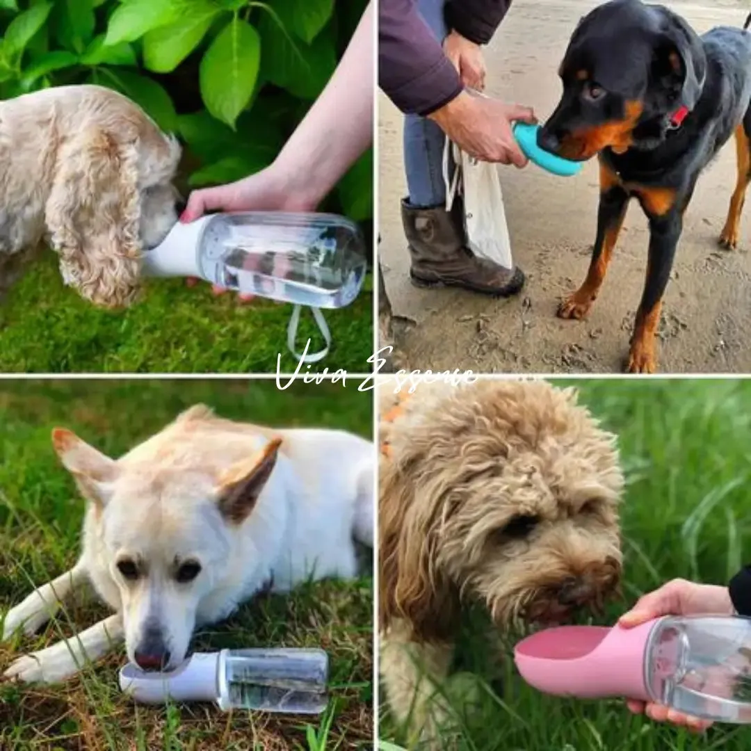 Ultimate Pet Water and Feeding Bottle