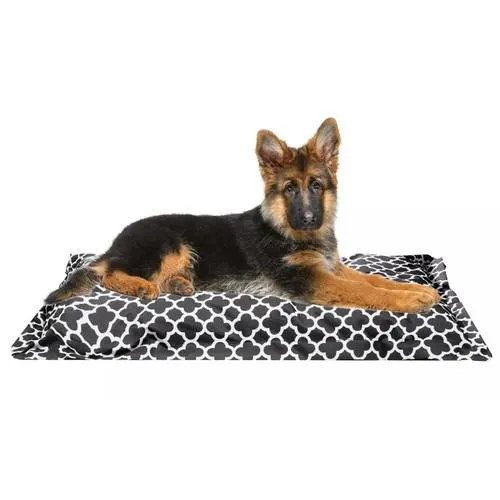 Wags 'N Whiskers Orthopedic Pet Bed Pillow - Assorted Styles