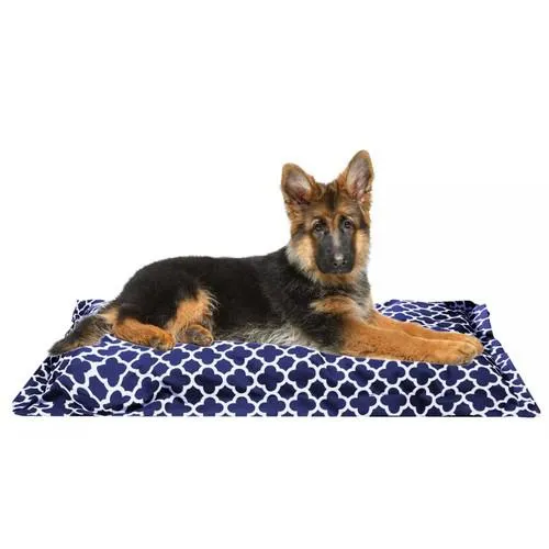 Wags 'N Whiskers Orthopedic Pet Bed Pillow - Assorted Styles